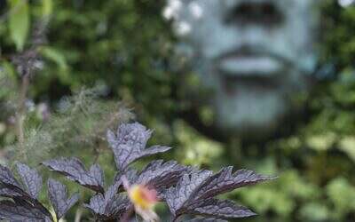 How to design gardens for health and wellbeing