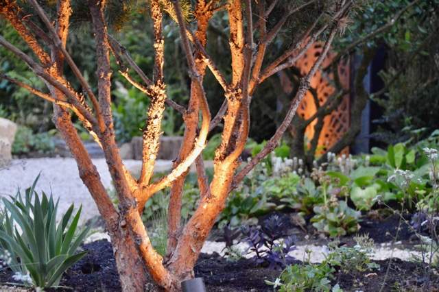 Cotswold garden design lighting