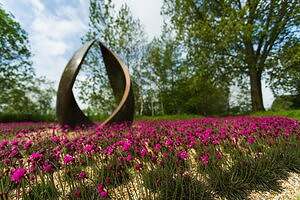 Gardens and wellbeing – expert Q&A