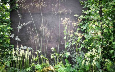 Creating gardens that feel right from the start