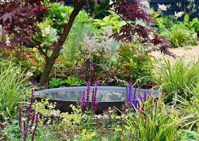 Narrow new build garden