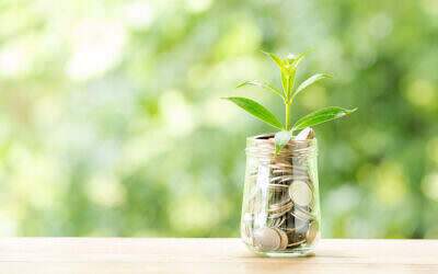 What does a garden design cost?