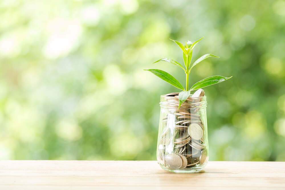 garden design cost