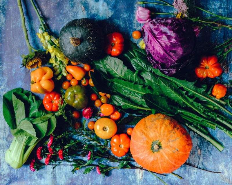 garden design with fruit and vegetables