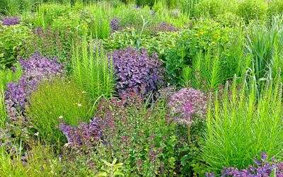 Garden Design Trends 2022