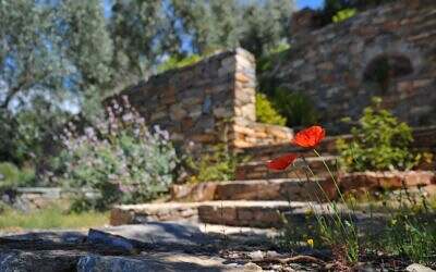 Guide to garden design trends 2020