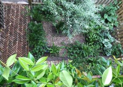 Shady suburban front garden